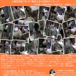 小刚性游牧纪事 09 / 01 宁波成为审判狗公主