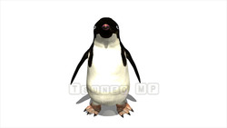 映像CG ペンギン Penguin120421-002