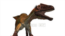 映像CG 恐竜 Dinosaur120417-012