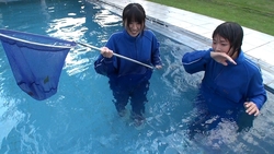 Eagerly SW49 pool cleaning