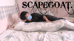 Sacrifice: wrapped in futon and wrap
